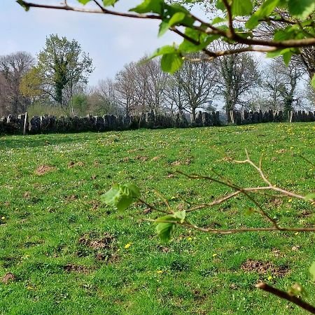 Le Petit Bois Normand - Chambre D'Hote Bed & Breakfast Champ-du-Boult Bagian luar foto