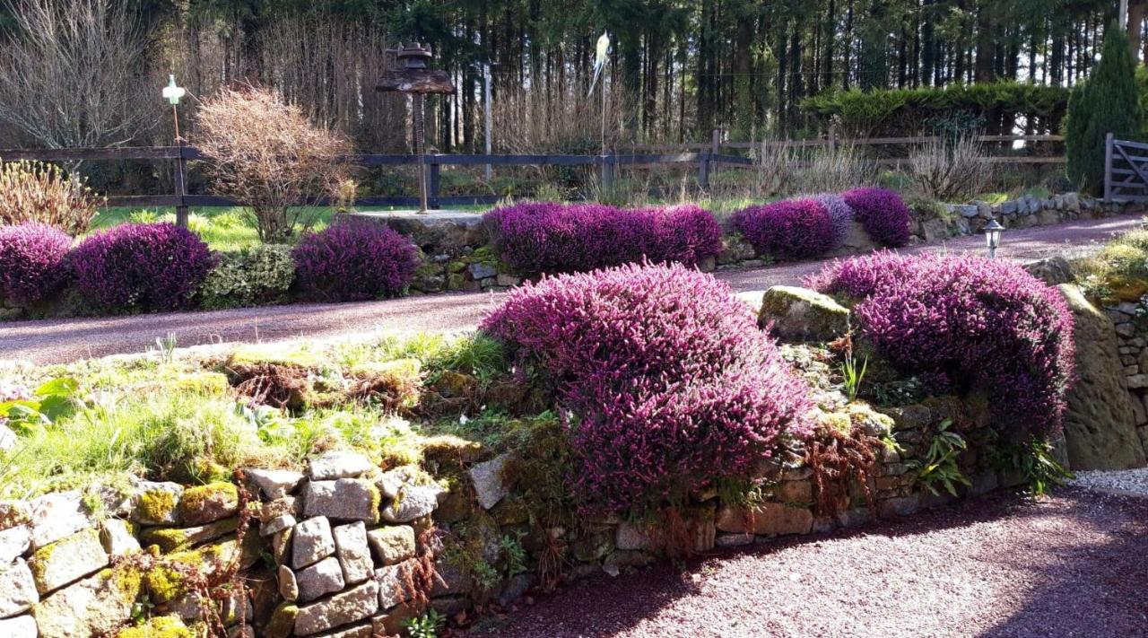 Le Petit Bois Normand - Chambre D'Hote Bed & Breakfast Champ-du-Boult Bagian luar foto