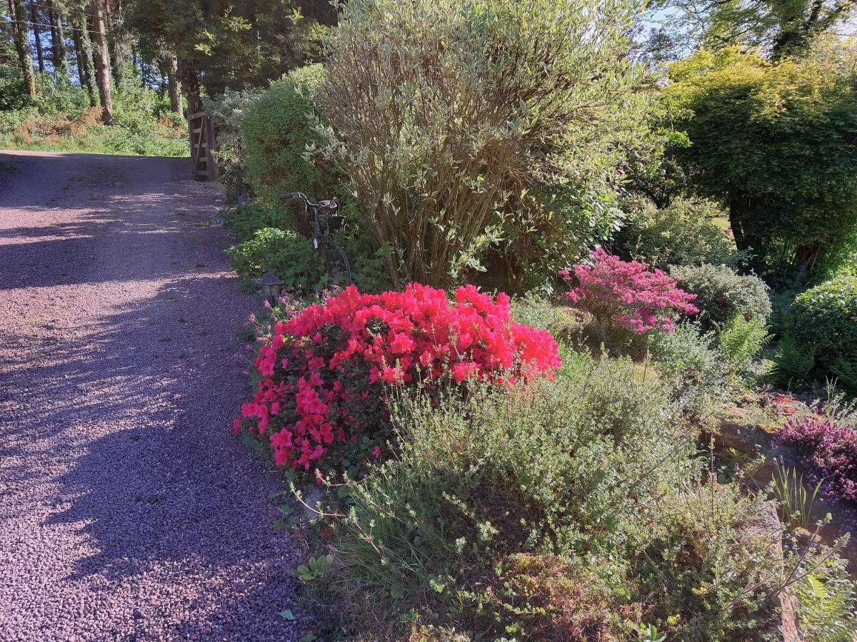 Le Petit Bois Normand - Chambre D'Hote Bed & Breakfast Champ-du-Boult Bagian luar foto