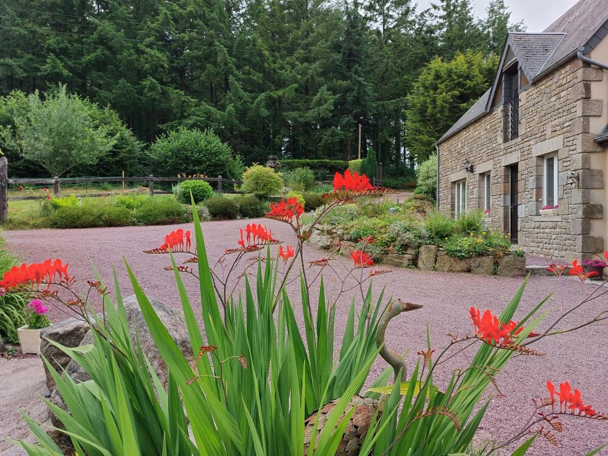 Le Petit Bois Normand - Chambre D'Hote Bed & Breakfast Champ-du-Boult Bagian luar foto